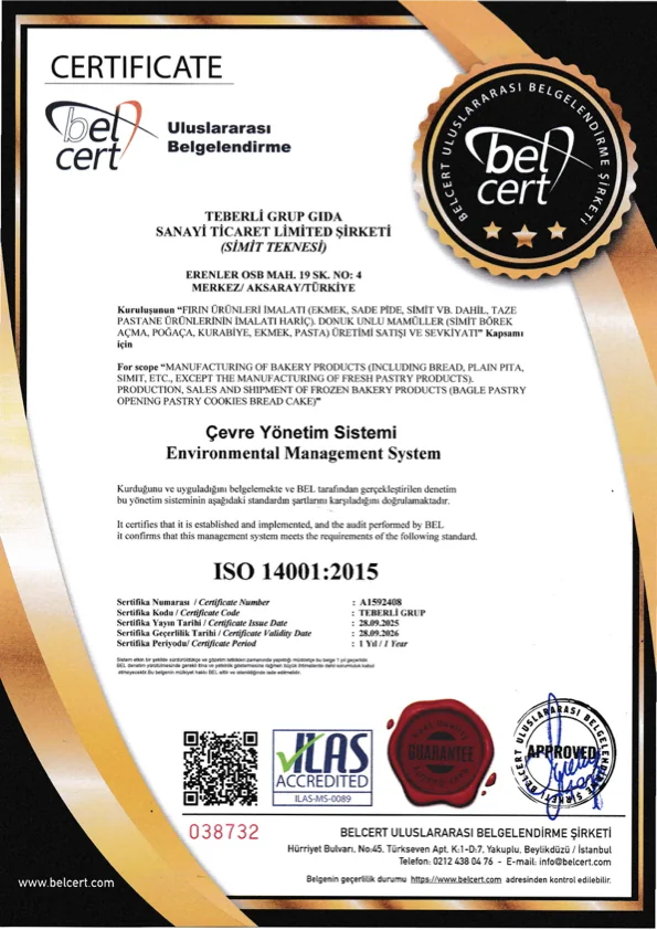 ISO 14001:2015 Umweltmanagement Zertifikatsvorschau