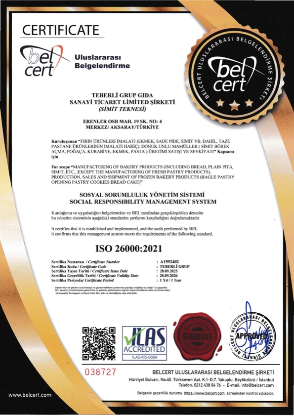 ISO 26000:2021 Soziale Verantwortung Zertifikatsvorschau
