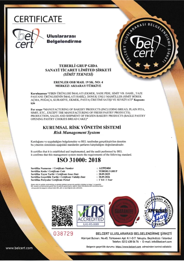 ISO 31000:2018 Risikomanagement Zertifikatsvorschau